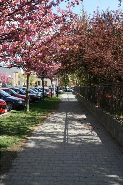 Hotel Oko Nitra Bagian luar foto